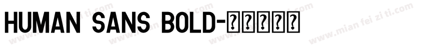 Human Sans Bold字体转换